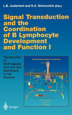 Signal Transduction and the Coordination of B Lymphocyte Development and Function I : Transduction of BCR Signals from the Cell Membrane to the Nucleus