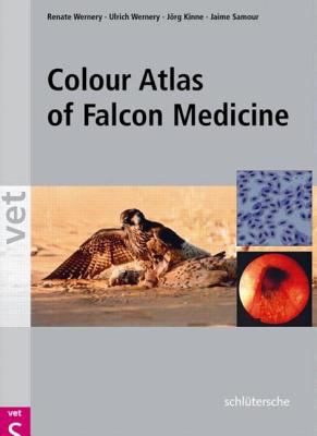 Falcon Medicine
