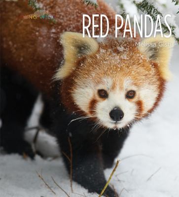 Red Pandas