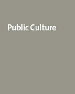 Public Culture Vol. 15