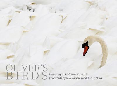 Oliver's Birds : By Oliver Hellowell
