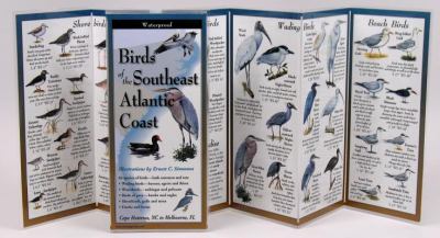 Birds of the Southeast Atlantic Coast