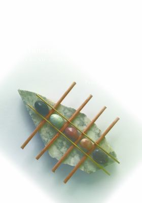 Contemporary Social Psychological Theories : Second Edition