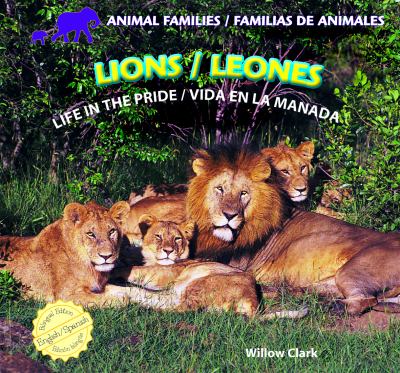 Lions : Leones: Life in the Pride: Vida en la Manada