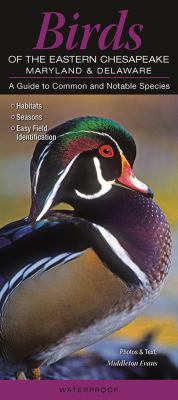 Birds of the Eastern Chesapeake - Maryland and Delaware : A Guide to Common and Notable Species