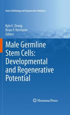 Male Germline Stem Cells : Developmental and Regenerative Potential