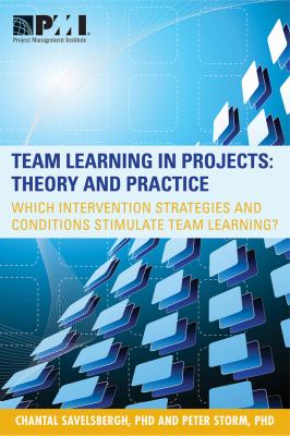 Team Learning in Projects : Theory and Practice