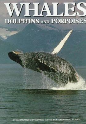 Whales, Dolphins and Porpoises