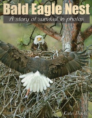 Bald Eagle Nest : A Story of Survival in Photos