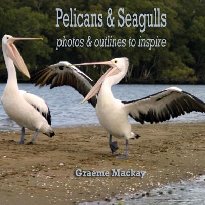 Pelicans and Seagulls : Photos and Outlines to Inspire