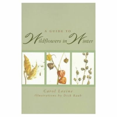 Guide to Wildflowers in Winter