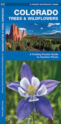 Colorado Trees and Wildflowers : A Folding Pocket Guide to Familiar Plants