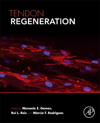 Tendon Regeneration : Understanding Tissue Physiology and Development to Engineer Functional Substitutes