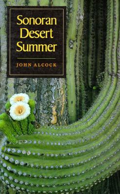 Sonoran Desert Summer