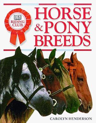 Horse and Pony Breeds