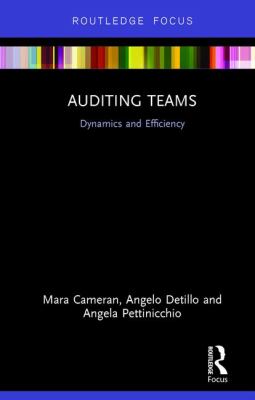 Auditing Teams : Dynamics and Efficiency