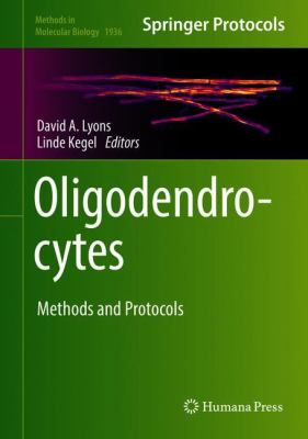 Oligodendrocytes : Methods and Protocols