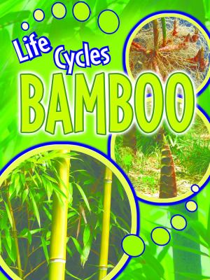 Bamboo