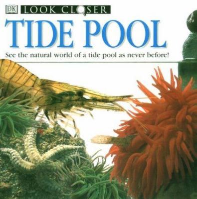 Tide Pool