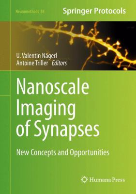 Nanoscale Imaging of Synapses : New Concepts and Opportunities