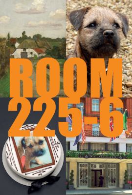 Room 225-6: a Novel