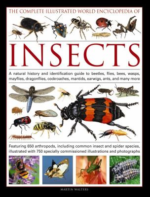 The Complete Illustrated World Encyclopedia of Insects : A Natural History and Identification Guide to Beetles, Flies, Bees, Wasps, Mayflies, Dragonflies, Cockroaches, Mantids, Earwigs, Ants, and Many More