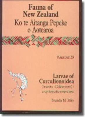 Larvae of Curculionoidae (Insecta: Coleoptera) a Systematic Overview