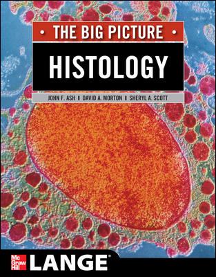 Histology: the Big Picture
