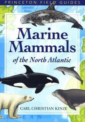 Marine Mammals of the North Atlantic