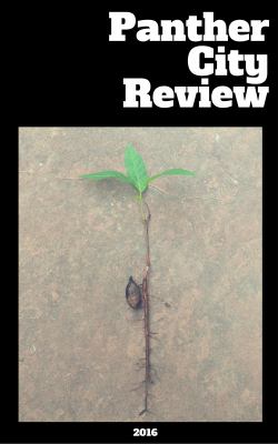 Panther City Review : 2016