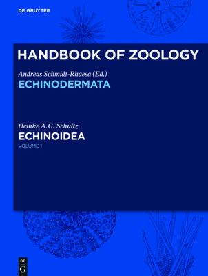 Echinoidea : With Pentameral Symmetry