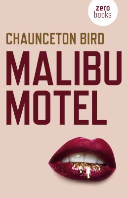 Malibu Motel : A Novel about the Colossal Cost of Free Cash