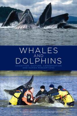 Whales and Dolphins : Cognition, Culture, Conservation and Human Perceptions