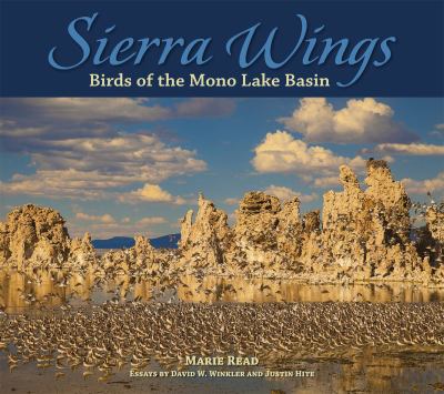 Sierra Wings : Birds of the Mono Lake Basin