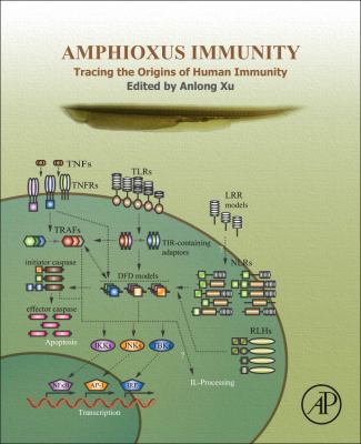 Amphioxus Immunity : Tracing the Origins of Human Immunity