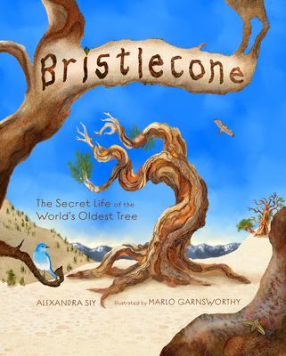 Bristlecone: the Secret Life of the World's Oldest Tree : The Secret Life of the World's Oldest Tree