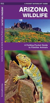 Arizona Wildlife : A Folding Pocket Guide to Familiar Species