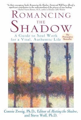 Romancing the Shadow : A Guide to Soul Work for a Vital, Authentic Life