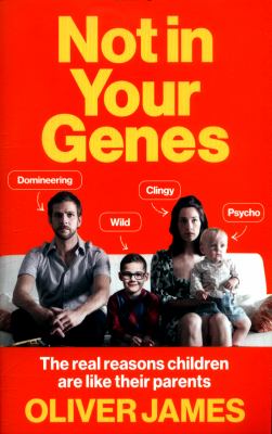 Not in Your Genes : The Real Reasons Children Are Like Their Parents