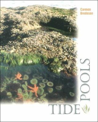 Tide Pools