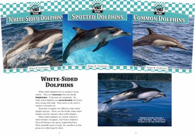 Dolphins