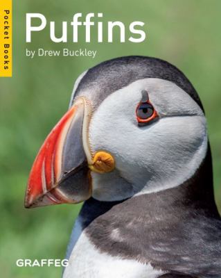 Puffins