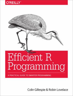 Efficient R Programming : A Practical Guide to Smarter Programming