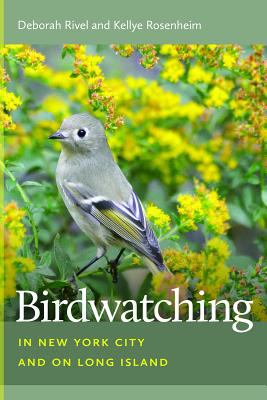 Birdwatching in New York City and on Long Island