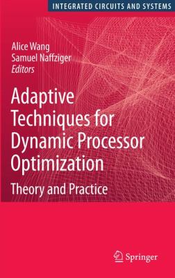 Adaptive Techniques for Dynamic Processor Optimization : Theory and Practice