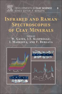 Infrared and Raman Spectroscopies of Clay Minerals