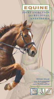 Equine Joint Injection and Regional Anesthesia