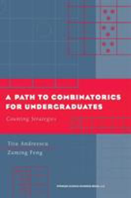 A Path to Combinatorics for Undergraduates : Counting Strategies