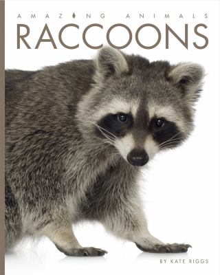 Amazing Animals: Raccoons