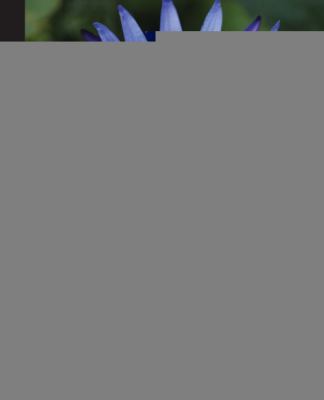 Developing Microservices with Node. js